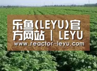 种植基地五(图1)