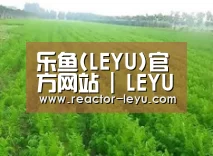 种植基地四