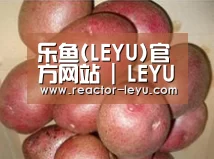 产品展示标题1