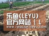 种植基地七(图1)