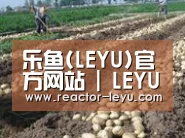 种植基地八