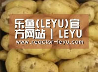 产品展示标题6
