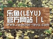 种植基地八(图1)