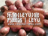产品展示标题5