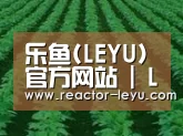 种植基地六