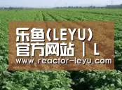 种植基地五