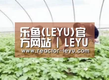 种植基地三