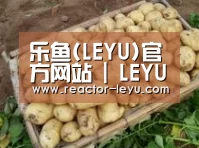 产品展示标题3