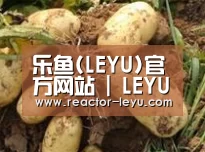 产品展示标题2