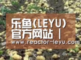 种植基地七