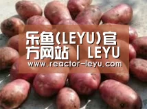 产品展示标题5(图1)