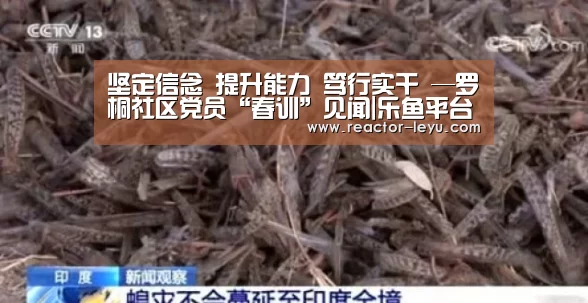 坚定信念 提升能力 笃行实干 —罗桐社区党员“春训”见闻|乐鱼平台最新版本(图2) leyu乐鱼