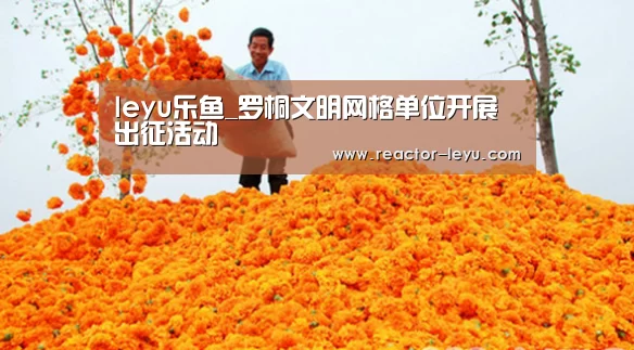 leyu乐鱼_罗桐文明网格单位开展出征活动(图1) 乐鱼app下载