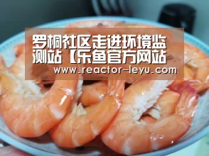 罗桐社区走进环境监测站【乐鱼官方网站入口】(图3) 乐鱼官方网站入口