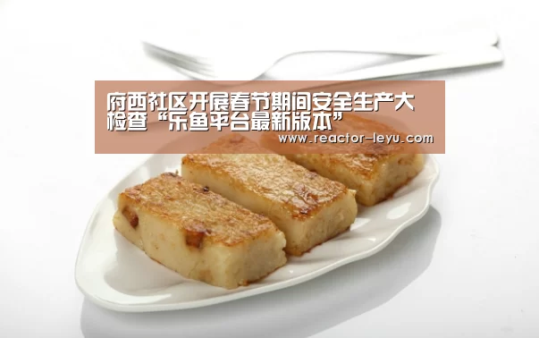 府西社区开展春节期间安全生产大检查“乐鱼平台最新版本”(图1) 乐鱼平台最新版本