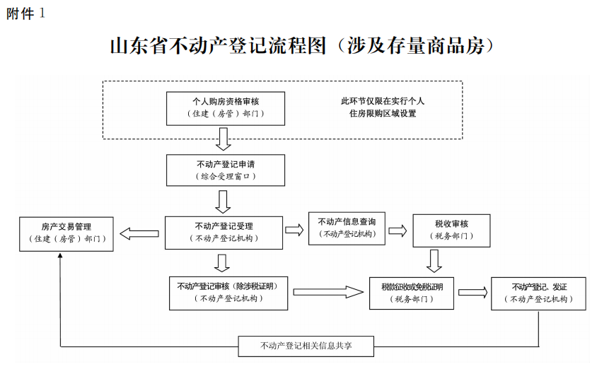 广东东莞麻涌龙舟队揽中华龙舟大赛3项冠军【乐鱼平台最新版本】(图3) 乐鱼app下载