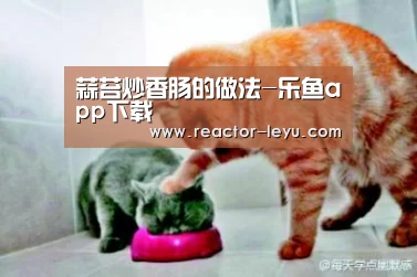 乐鱼app下载