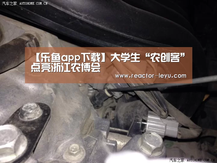 乐鱼平台最新版本