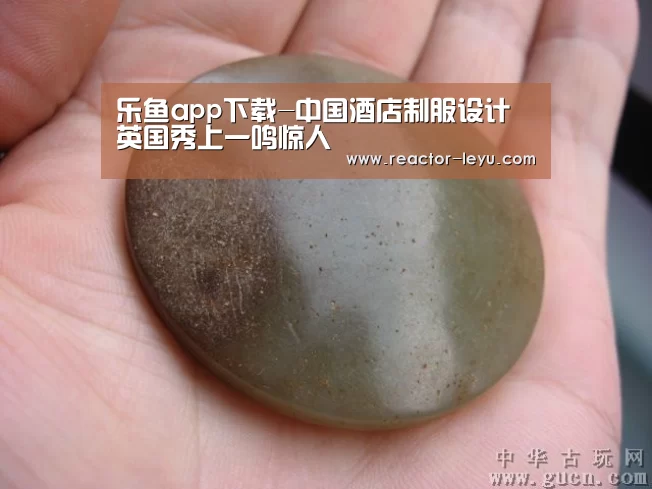 乐鱼官方网站入口