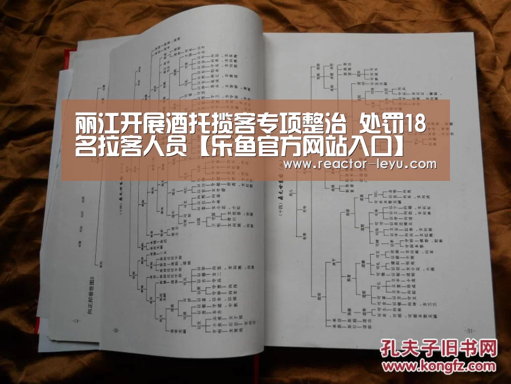 丽江开展酒托揽客专项整治 处罚18名拉客人员【乐鱼官方网站入口】(图2) leyu乐鱼