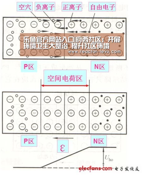 乐鱼官方网站入口|府西社区:开展环境卫生大整治 提升社区环境(图1) 乐鱼平台最新版本
