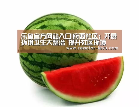 乐鱼官方网站入口|府西社区:开展环境卫生大整治 提升社区环境(图2) leyu乐鱼