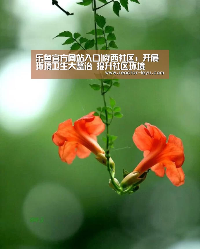 乐鱼官方网站入口|府西社区:开展环境卫生大整治 提升社区环境(图3) 乐鱼官方网站入口
