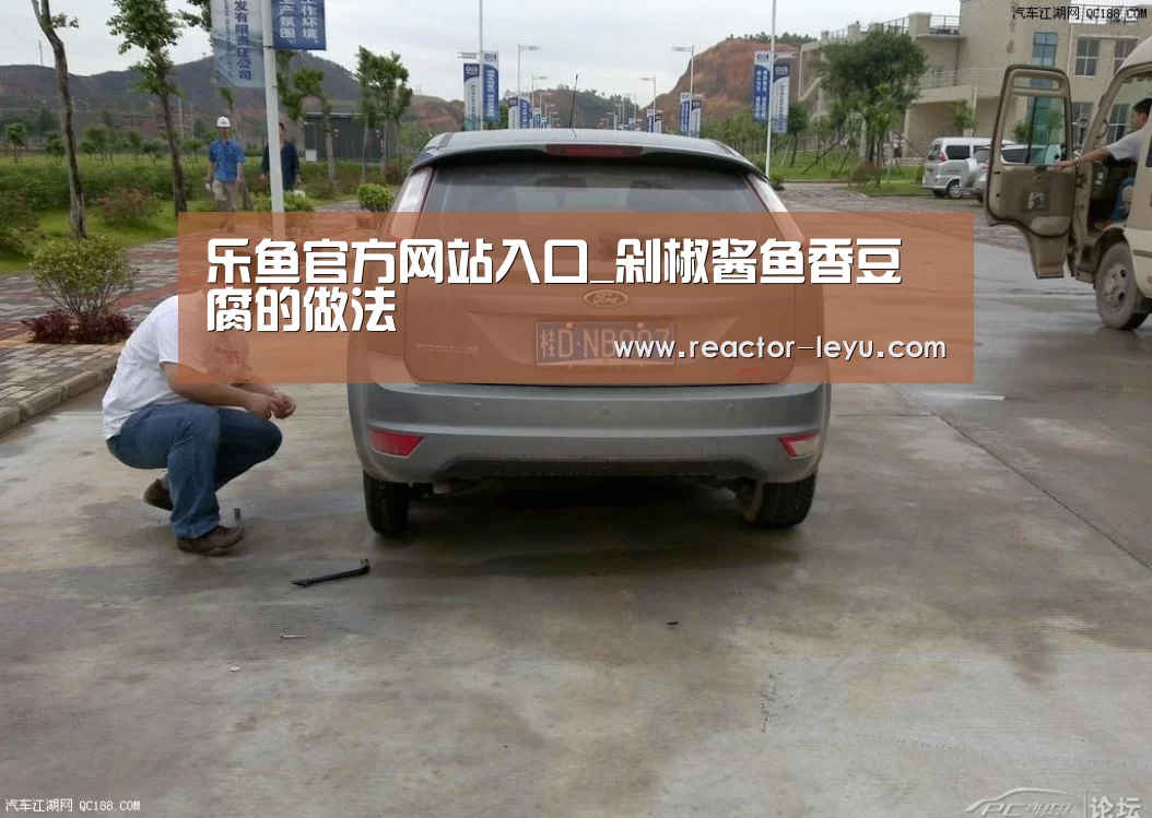 乐鱼官方网站入口_剁椒酱鱼香豆腐的做法(图3) 乐鱼官方网站入口