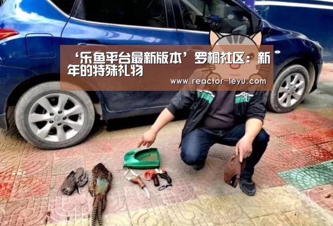 ‘乐鱼平台最新版本’罗桐社区:新年的特殊礼物(图2) 乐鱼app下载