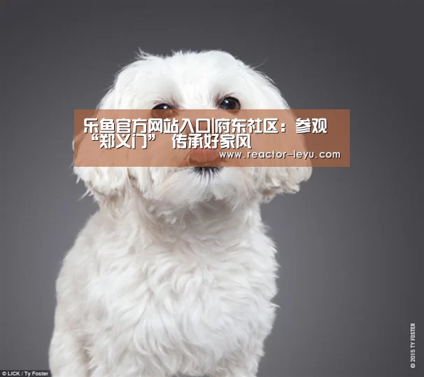 乐鱼平台最新版本