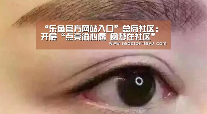 “乐鱼官方网站入口”总府社区:开展“点亮微心愿 圆梦在社区”活动(图3) leyu乐鱼