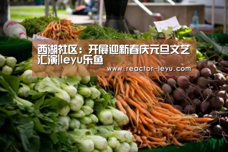 西湖社区:开展迎新春庆元旦文艺汇演|leyu乐鱼(图3) leyu乐鱼