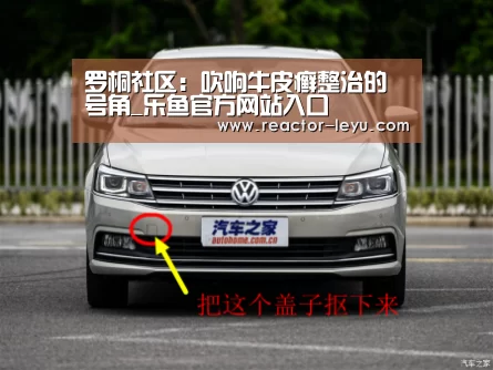 罗桐社区:吹响牛皮癣整治的号角_乐鱼官方网站入口(图3) leyu乐鱼