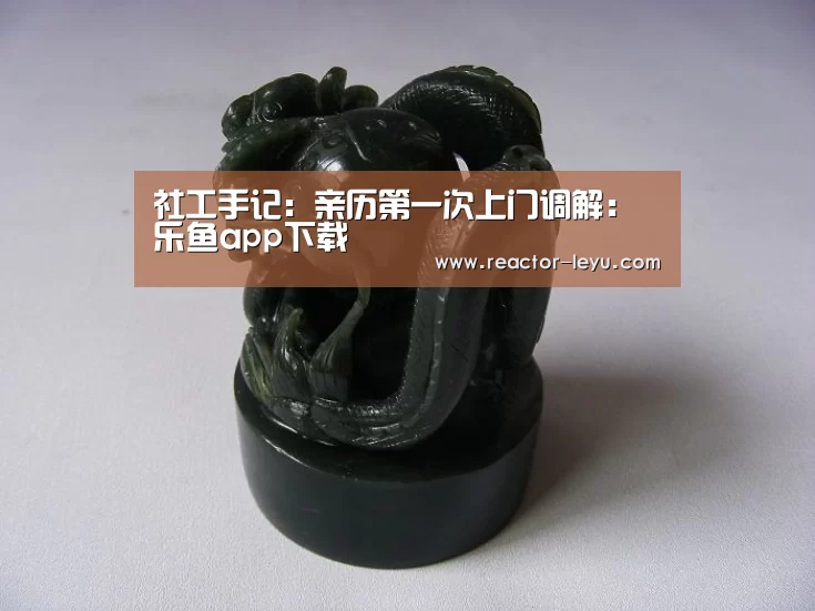 社工手记:亲历第一次上门调解:乐鱼app下载(图2) 乐鱼官方网站入口