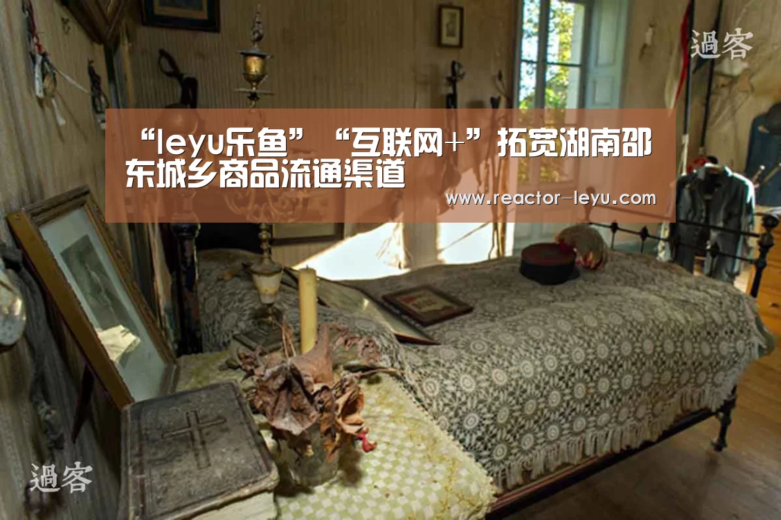 “leyu乐鱼”“互联网+”拓宽湖南邵东城乡商品流通渠道(图2) 乐鱼平台最新版本